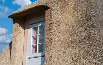 Gedintailor thatch roof disadvantages