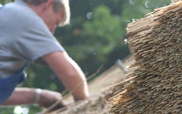 professional Gedintailor thatchers