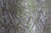 Gedintailor fibreglass roof work